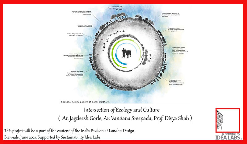 Intersection of Ecology and Culture - Mapping  Innovation in Sustainability -  Sustainability Idea Labs